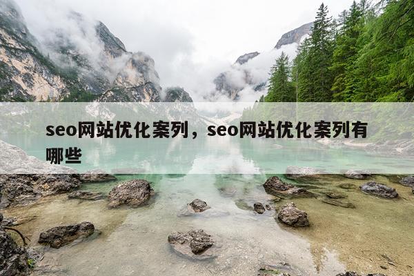 seo网站优化案列，seo网站优化案列有哪些