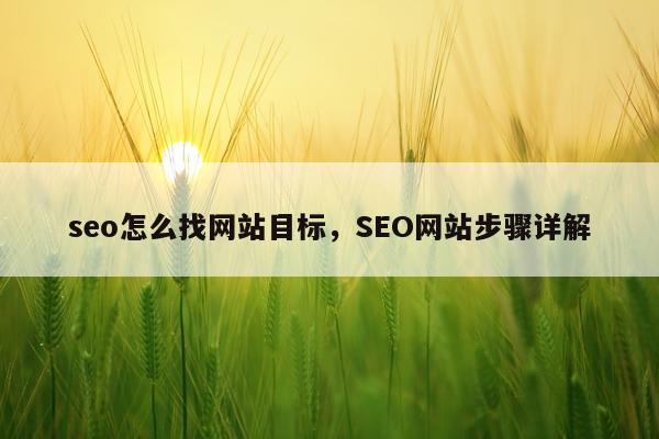 seo怎么找网站目标，SEO网站步骤详解