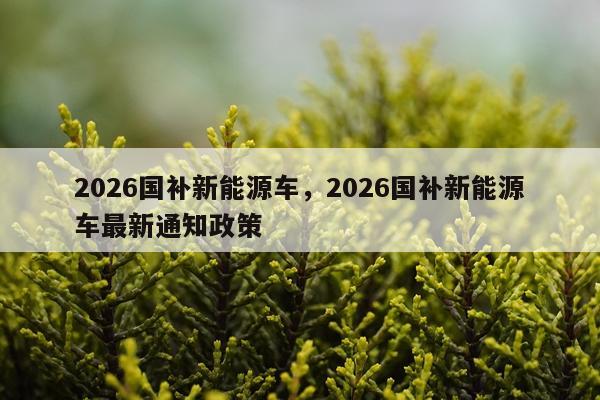 2026国补新能源车，2026国补新能源车最新通知政策