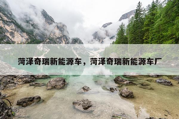 菏泽奇瑞新能源车，菏泽奇瑞新能源车厂