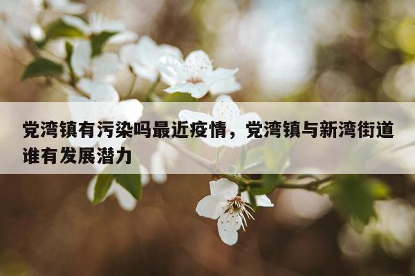 党湾镇有污染吗最近疫情，党湾镇与新湾街道谁有发展潜力