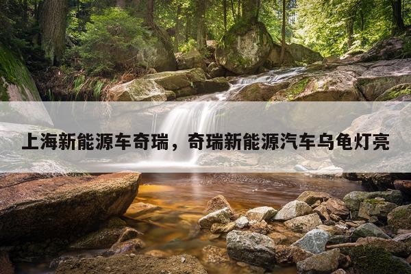 上海新能源车奇瑞，奇瑞新能源汽车乌龟灯亮