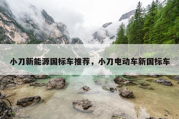 小刀新能源国标车推荐，小刀电动车新国标车