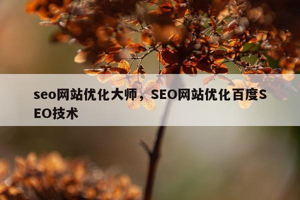 seo网站优化大师，SEO网站优化百度SEO技术