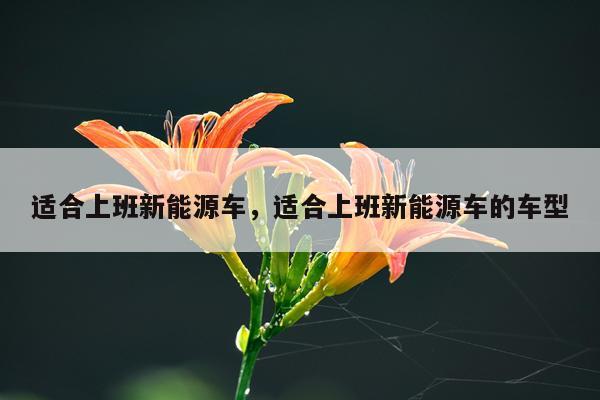 适合上班新能源车，适合上班新能源车的车型
