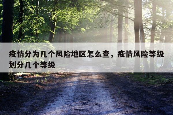 疫情分为几个风险地区怎么查，疫情风险等级划分几个等级