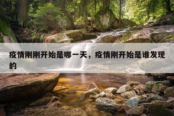 疫情刚刚开始是哪一天，疫情刚开始是谁发现的