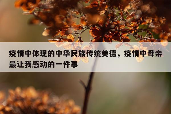 疫情中体现的中华民族传统美德，疫情中母亲最让我感动的一件事