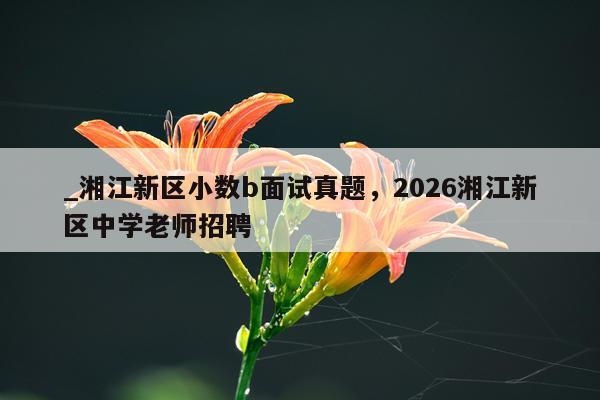 _湘江新区小数b面试真题，2026湘江新区中学老师招聘