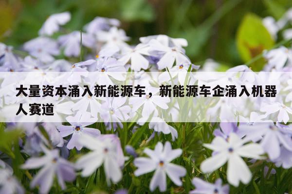 大量资本涌入新能源车，新能源车企涌入机器人赛道