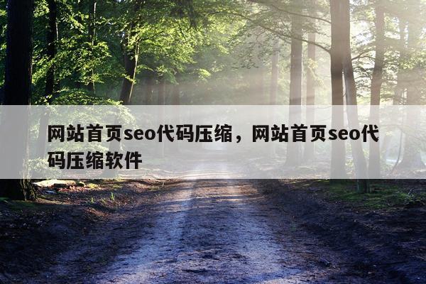 网站首页seo代码压缩，网站首页seo代码压缩软件