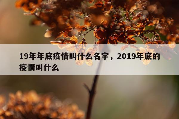 19年年底疫情叫什么名字，2019年底的疫情叫什么