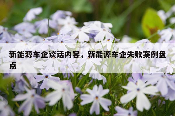 新能源车企谈话内容，新能源车企失败案例盘点