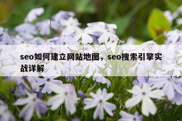 seo如何建立网站地图，seo搜索引擎实战详解