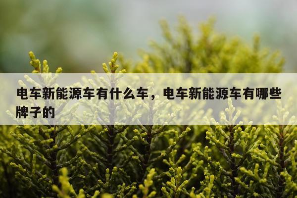 电车新能源车有什么车，电车新能源车有哪些牌子的