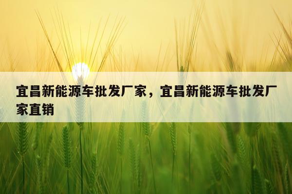 宜昌新能源车批发厂家，宜昌新能源车批发厂家直销