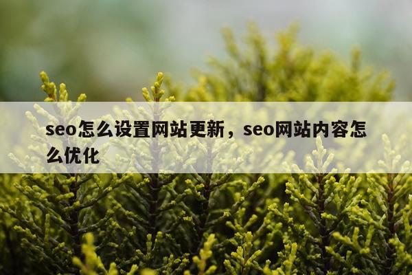 seo怎么设置网站更新，seo网站内容怎么优化
