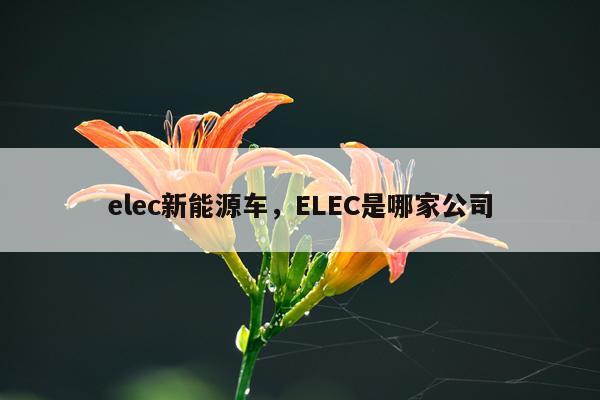elec新能源车，ELEC是哪家公司
