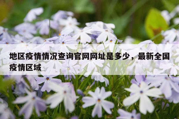 地区疫情情况查询官网网址是多少，最新全国疫情区域
