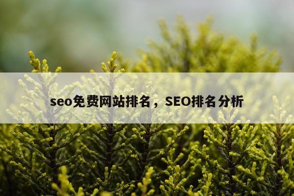 seo免费网站排名，SEO排名分析