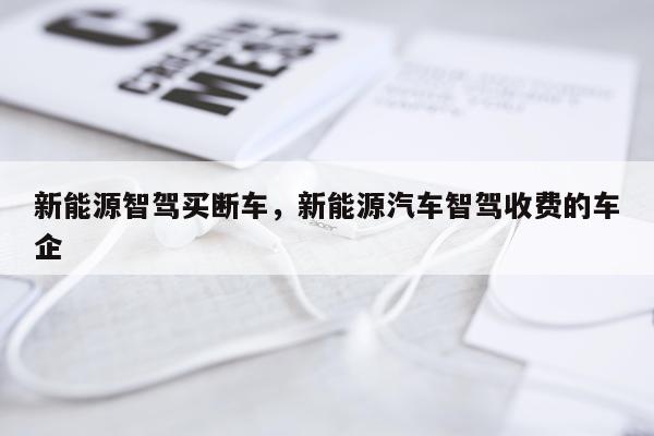 新能源智驾买断车，新能源汽车智驾收费的车企