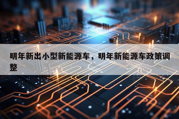 明年新出小型新能源车，明年新能源车政策调整
