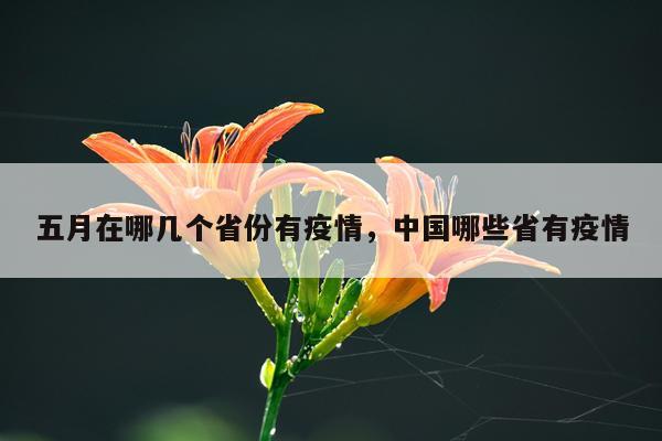 五月在哪几个省份有疫情，中国哪些省有疫情