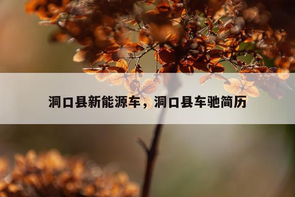洞口县新能源车，洞口县车驰简历