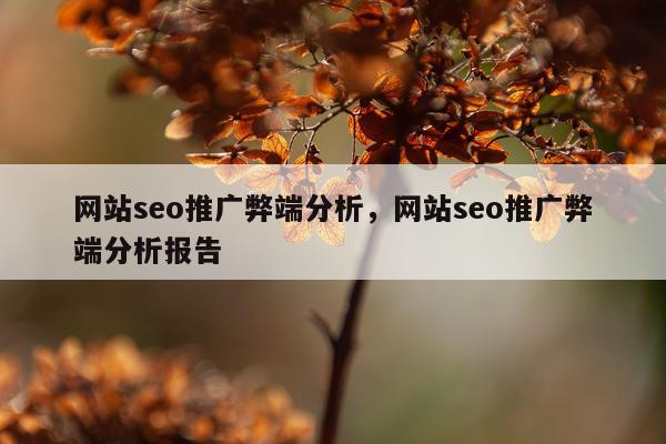 网站seo推广弊端分析，网站seo推广弊端分析报告