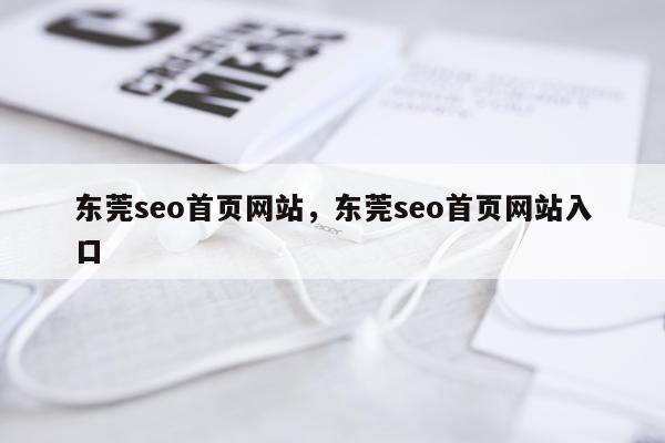 东莞seo首页网站，东莞seo首页网站入口