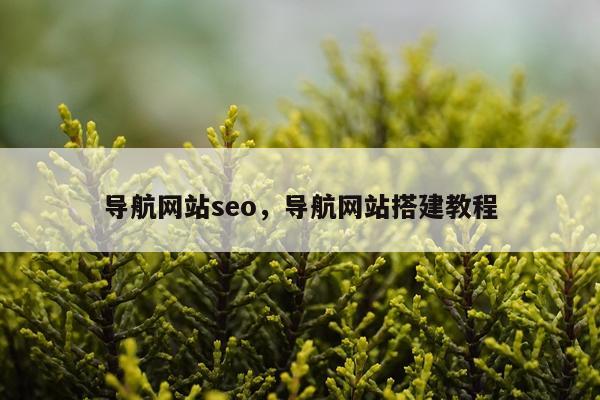 导航网站seo，导航网站搭建教程