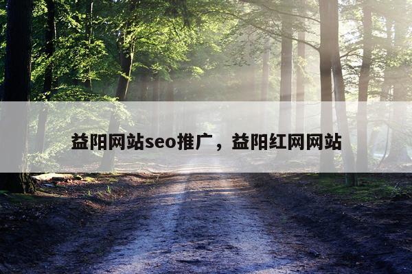 益阳网站seo推广，益阳红网网站