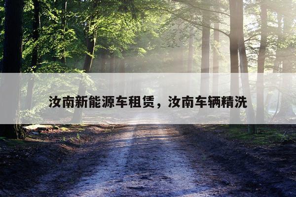 汝南新能源车租赁，汝南车辆精洗