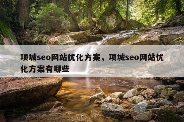 项城seo网站优化方案，项城seo网站优化方案有哪些