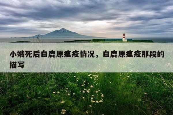 小娥死后白鹿原瘟疫情况，白鹿原瘟疫那段的描写