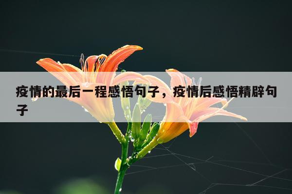 疫情的最后一程感悟句子，疫情后感悟精辟句子