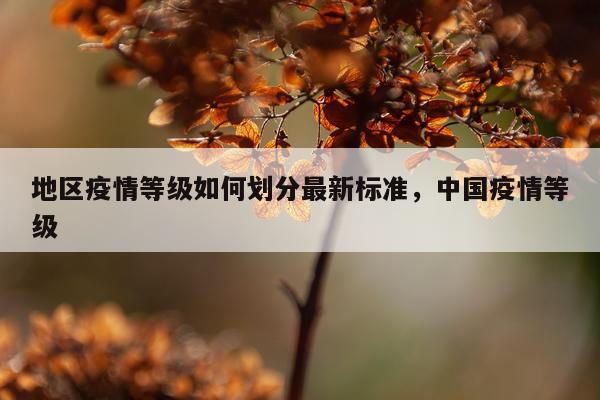 地区疫情等级如何划分最新标准，中国疫情等级