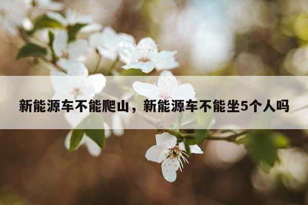 新能源车不能爬山，新能源车不能坐5个人吗