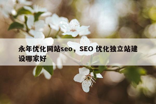 永年优化网站seo，SEO 优化独立站建设哪家好