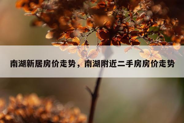 南湖新居房价走势，南湖附近二手房房价走势