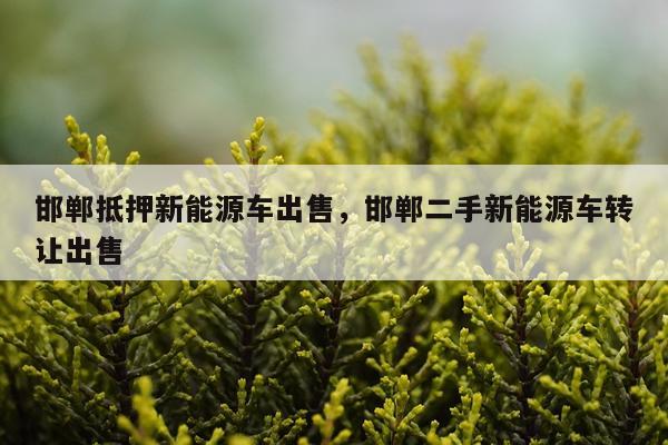 邯郸抵押新能源车出售，邯郸二手新能源车转让出售