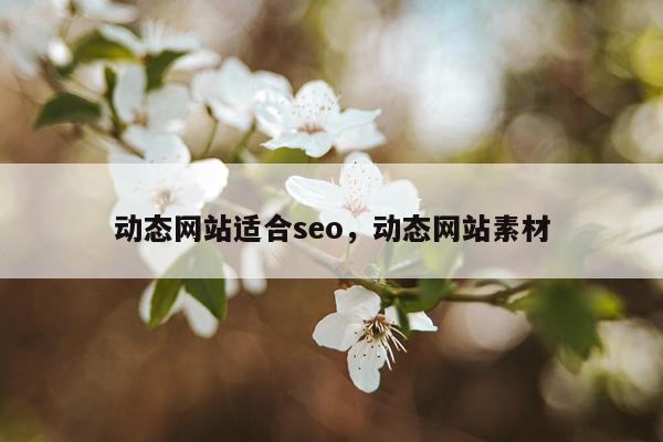 动态网站适合seo，动态网站素材