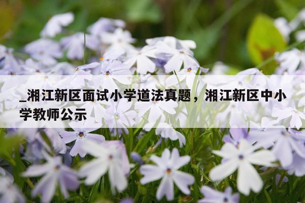 _湘江新区面试小学道法真题，湘江新区中小学教师公示