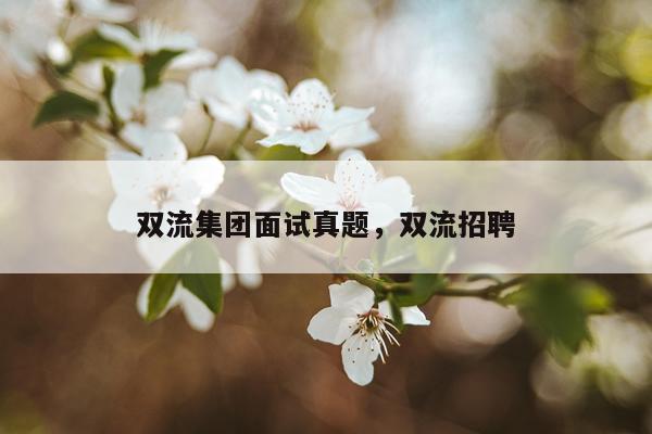 双流集团面试真题，双流招聘