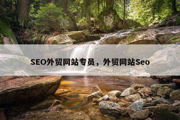 SEO外贸网站专员，外贸网站Seo