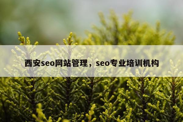 西安seo网站管理，seo专业培训机构