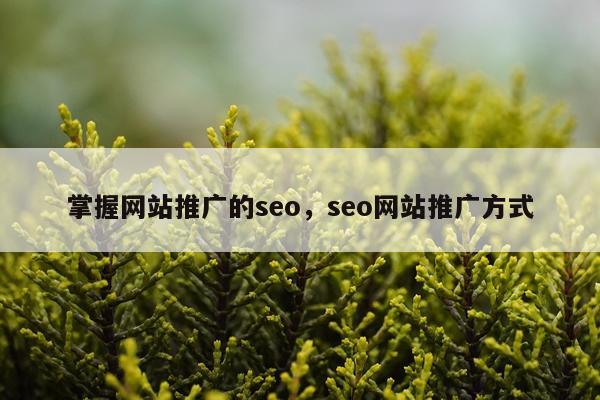 掌握网站推广的seo，seo网站推广方式