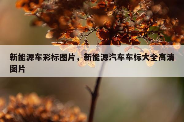 新能源车彩标图片，新能源汽车车标大全高清图片