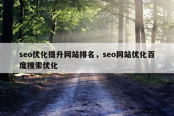 seo优化提升网站排名，seo网站优化百度搜索优化