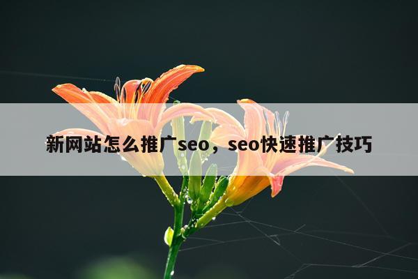 新网站怎么推广seo，seo快速推广技巧